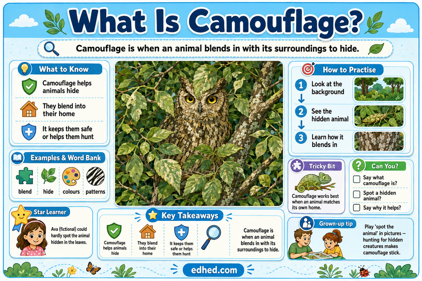 What Is Camouflage educational infographic for children