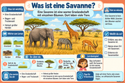 Was ist eine Savanne? Deutsche Infografik zu Grasland, Bäumen und Tierherden