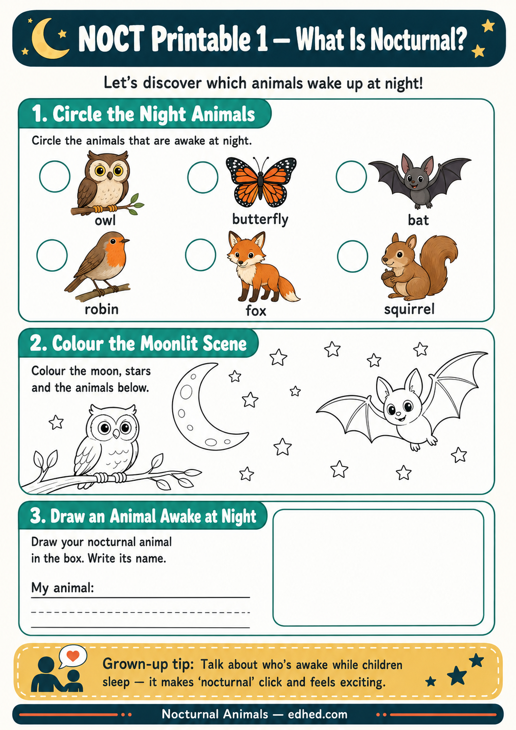 Nocturnal Animals – Kids Digital Infographic & Printable Worksheet Pack
