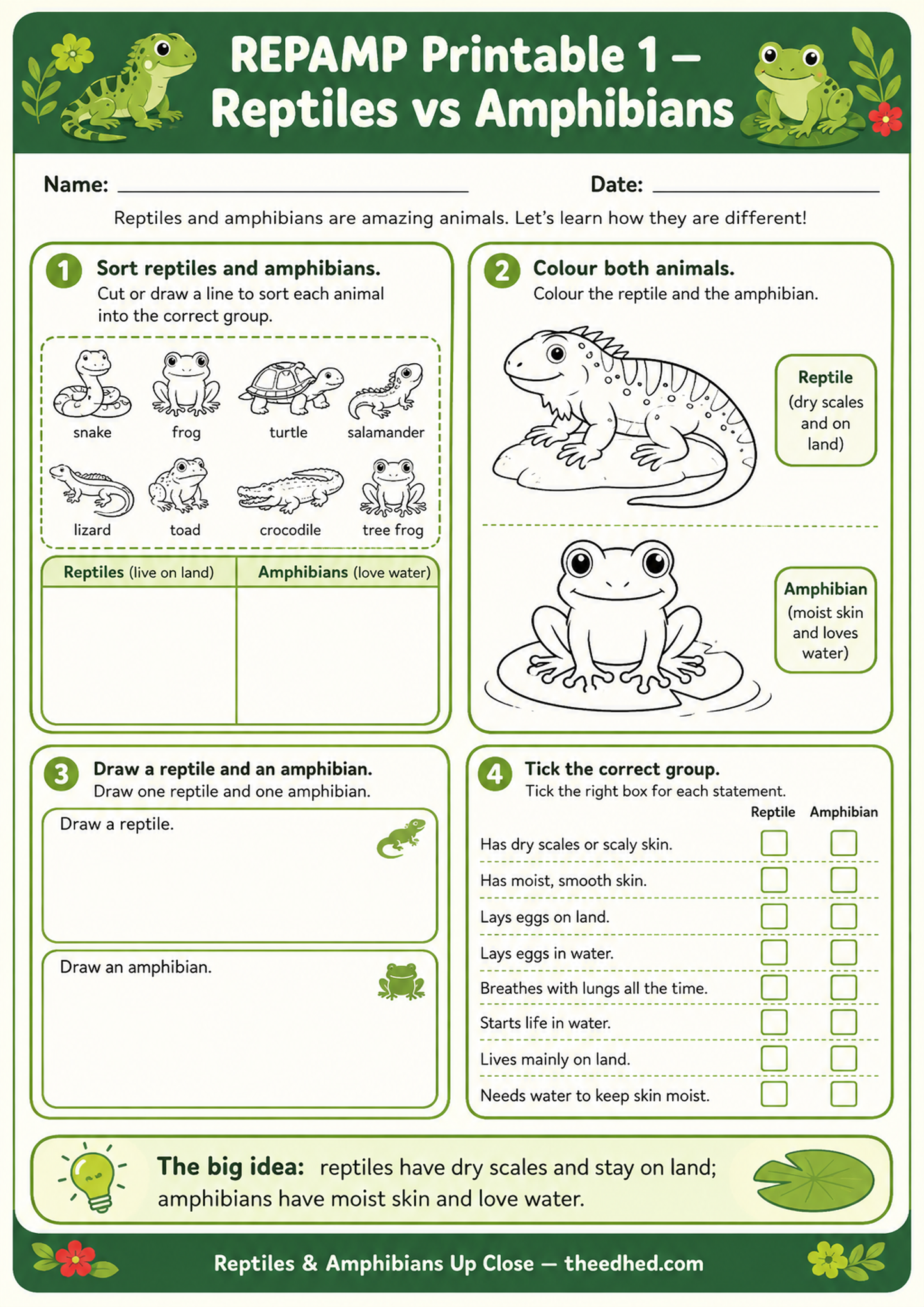 Reptiles & Amphibians Up Close – Kids Digital Infographic & Printable Worksheet Pack