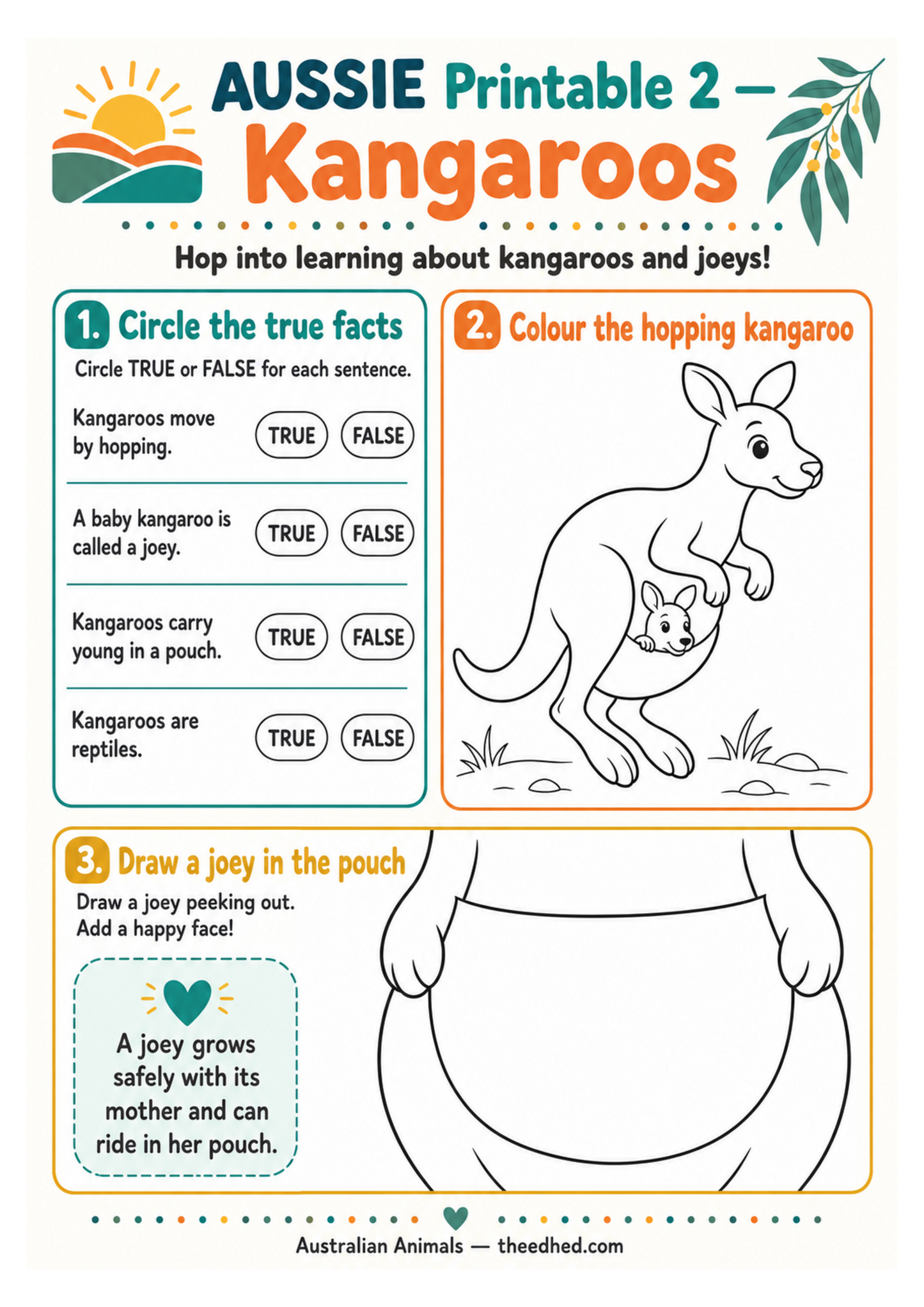 A children's educational printable poster about kangaroos, with text sections to circle true facts, color a hopping kangaroo, and draw a joey in the pouch. The design uses bright orange, green, yellow, and black on a white background.