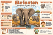Elefanten: deutsche Infografik zu Rüssel, Ohren und Herden
