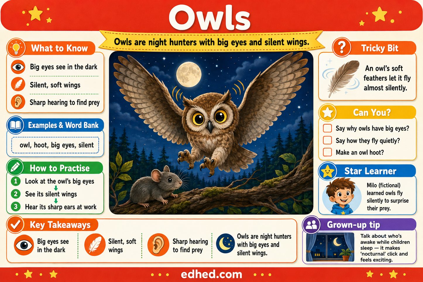 Nocturnal Animals – Kids Digital Infographic & Printable Worksheet Pack