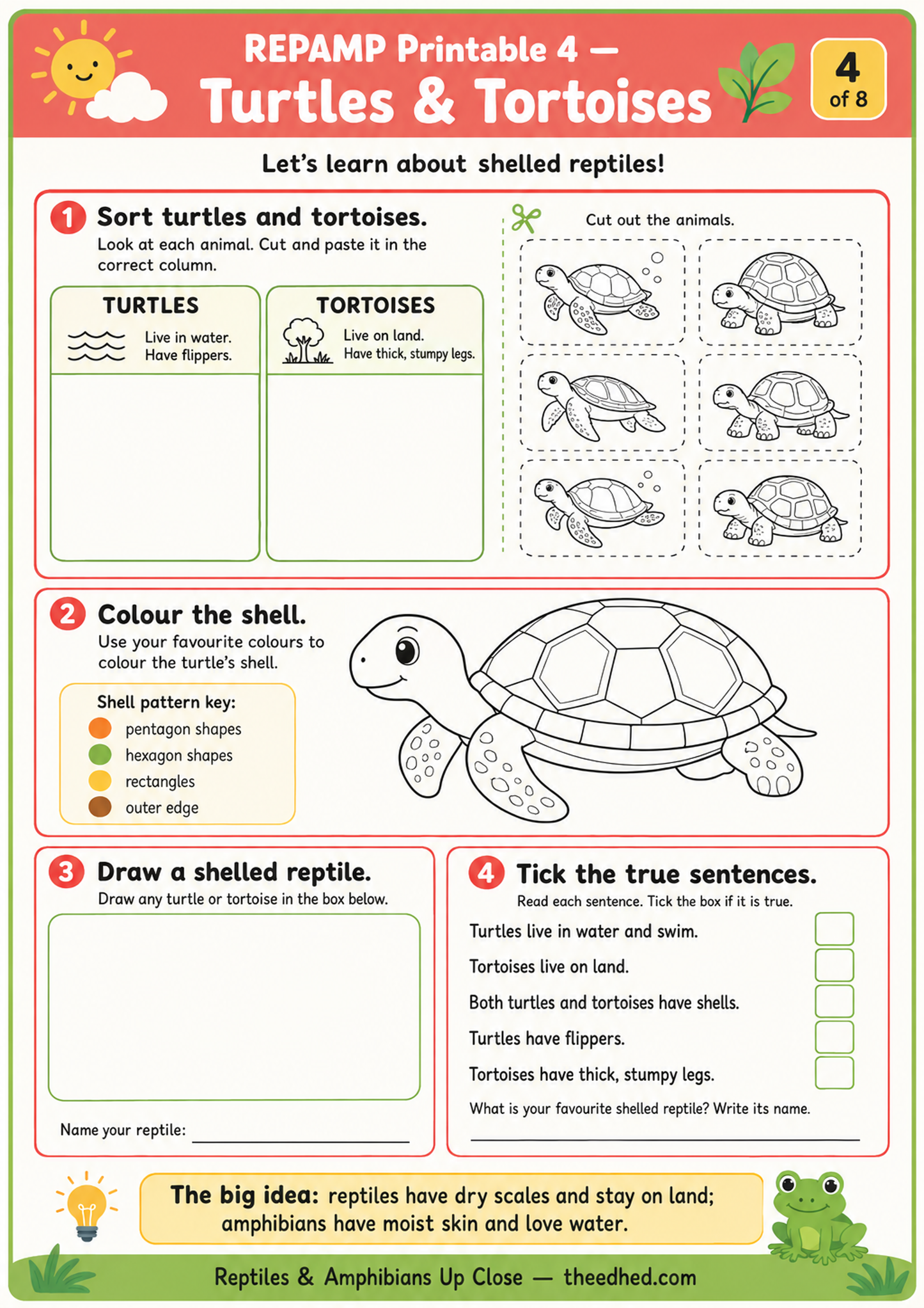 Reptiles & Amphibians Up Close – Kids Digital Infographic & Printable Worksheet Pack
