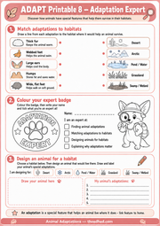 Adaptation Expert matching, colouring and animal design worksheet