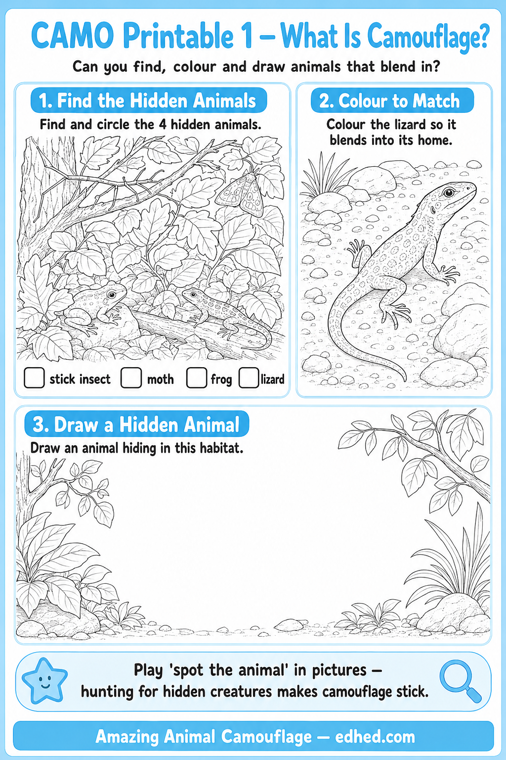 What Is Camouflage printable activity worksheet for children