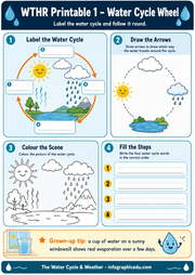 Educational worksheet on the water cycle with labeled diagram, arrows, and coloring activity.