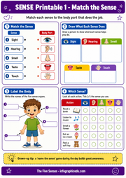 Educational worksheet for matching senses with body parts on a purple background.
