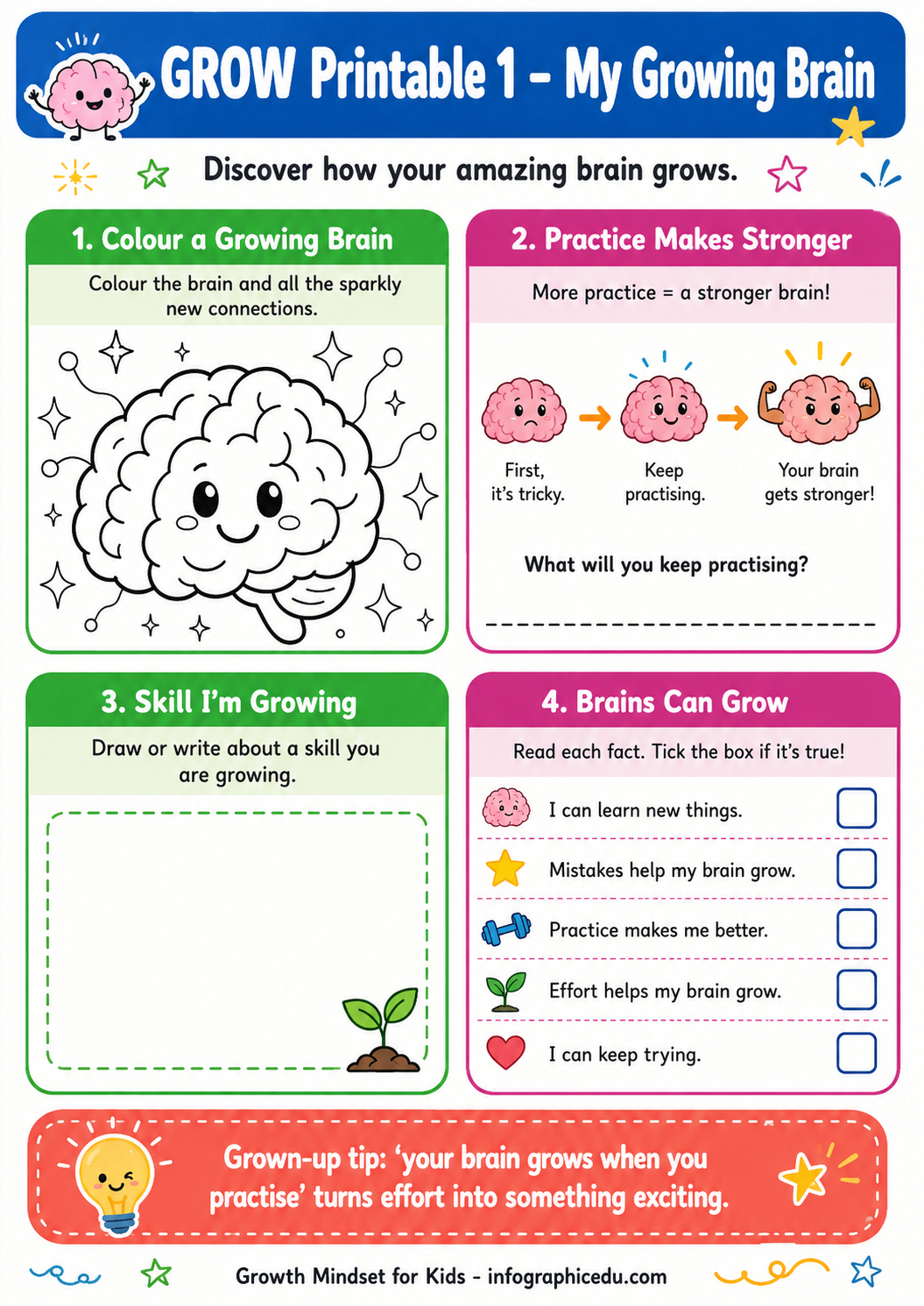 Brain Growth worksheet