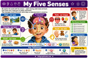 Educational chart about the five senses with illustrations and text.
