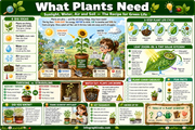 Plants & Growing for Kids printable worksheet preview
