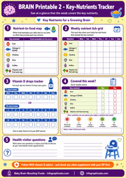 Nutrient tracker for a growing brain with various sections and checklists.