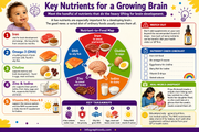 Nutritional infographic for a growing brain with key nutrients and food sources.