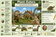 Educational infographic about plant-eating dinosaurs with illustrations and text.