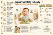 Infographic on signs your baby is ready to eat, featuring a smiling baby in a high chair.