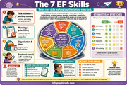Educational poster about 7 Executive Function (EF) skills with colorful diagram and text.