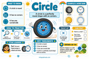 Circle kids educational infographic from the 2D Shapes All Around Us course