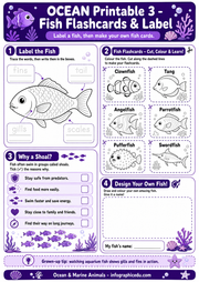 Ocean Animals & The Big Blue Ocean for Kids course shown on laptop, tablet and printables