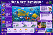 Ocean Animals & The Big Blue Ocean for Kids visual course preview from Infographic EDU