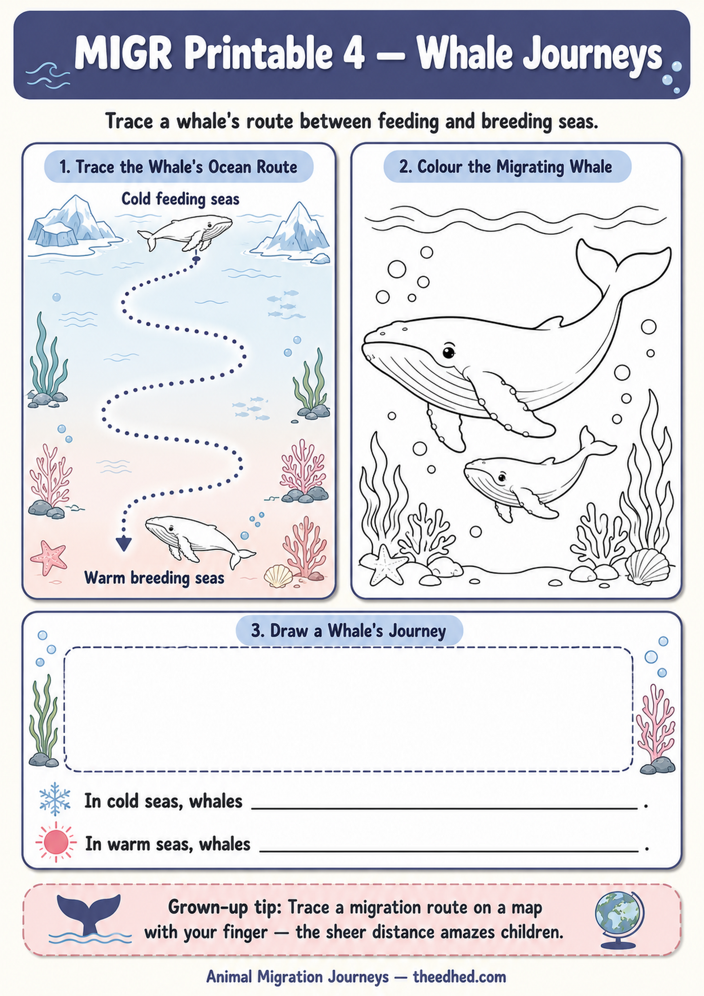 Animal Migration Journeys – Kids Digital Infographic & Printable Worksheet Pack