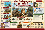 Charles Darwin for Kids printable planner preview