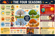 Educational infographic about the four seasons with illustrations and text.