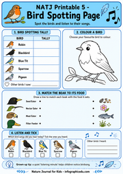 Bird spotting page with activities for children to color, match beaks to food, and listen to bird songs.