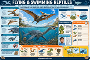 Educational poster about flying and swimming reptiles with illustrations and text.