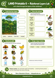 Educational worksheet about rainforest layers with illustrations and text.