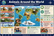 Educational poster about animals around the world with a map and various animal illustrations.
