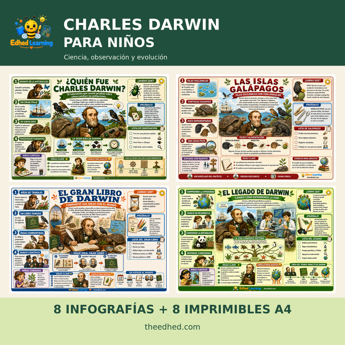 Charles Darwin para niños: 8 infografías y 8 imprimibles A4 en español