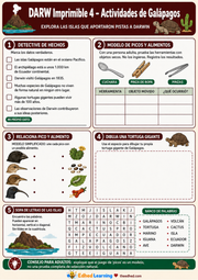 Actividad imprimible A4 en español sobre picos y selección natural