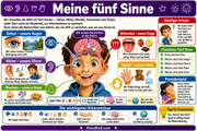 DE SENS 1 Meine fuenf Sinne – Edhed Learning