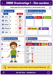 DE SENS Druckvorlage 1 Sinn zuordnen – Edhed Learning