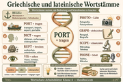 1 Griechische und lateinische Wortstaemme