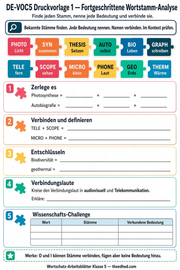 Druckvorlage 1 Wortstamm Analyse