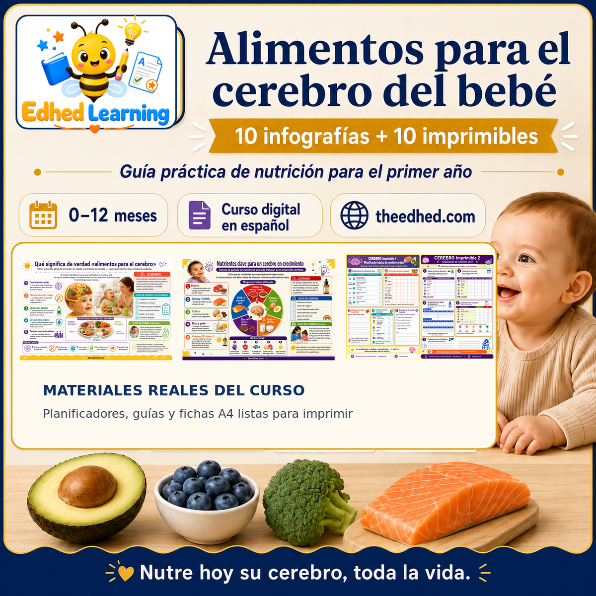 Curso digital en español Alimentos para el cerebro del bebé con 10 infografías y 10 imprimibles