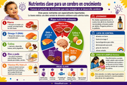 Infografía en español sobre nutrientes clave para el desarrollo del cerebro del bebé