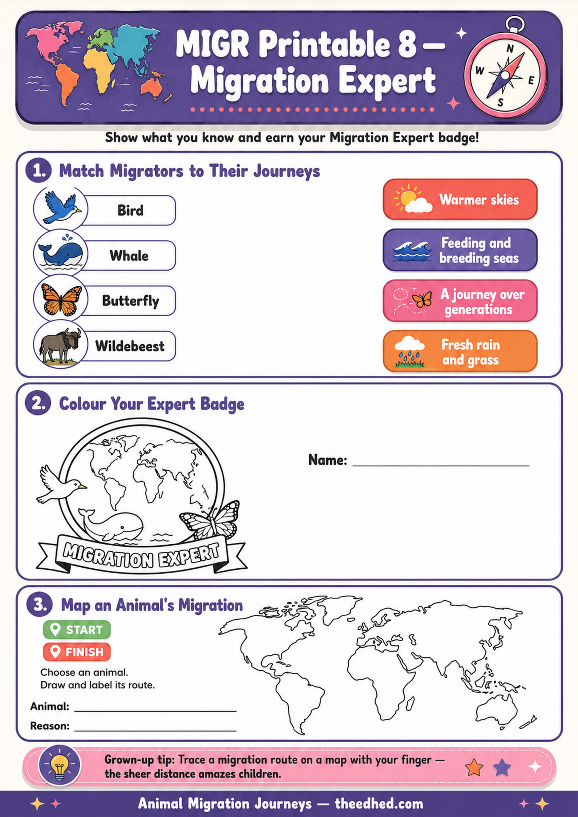 Migration Expert printable worksheet from Animal Migration Journeys