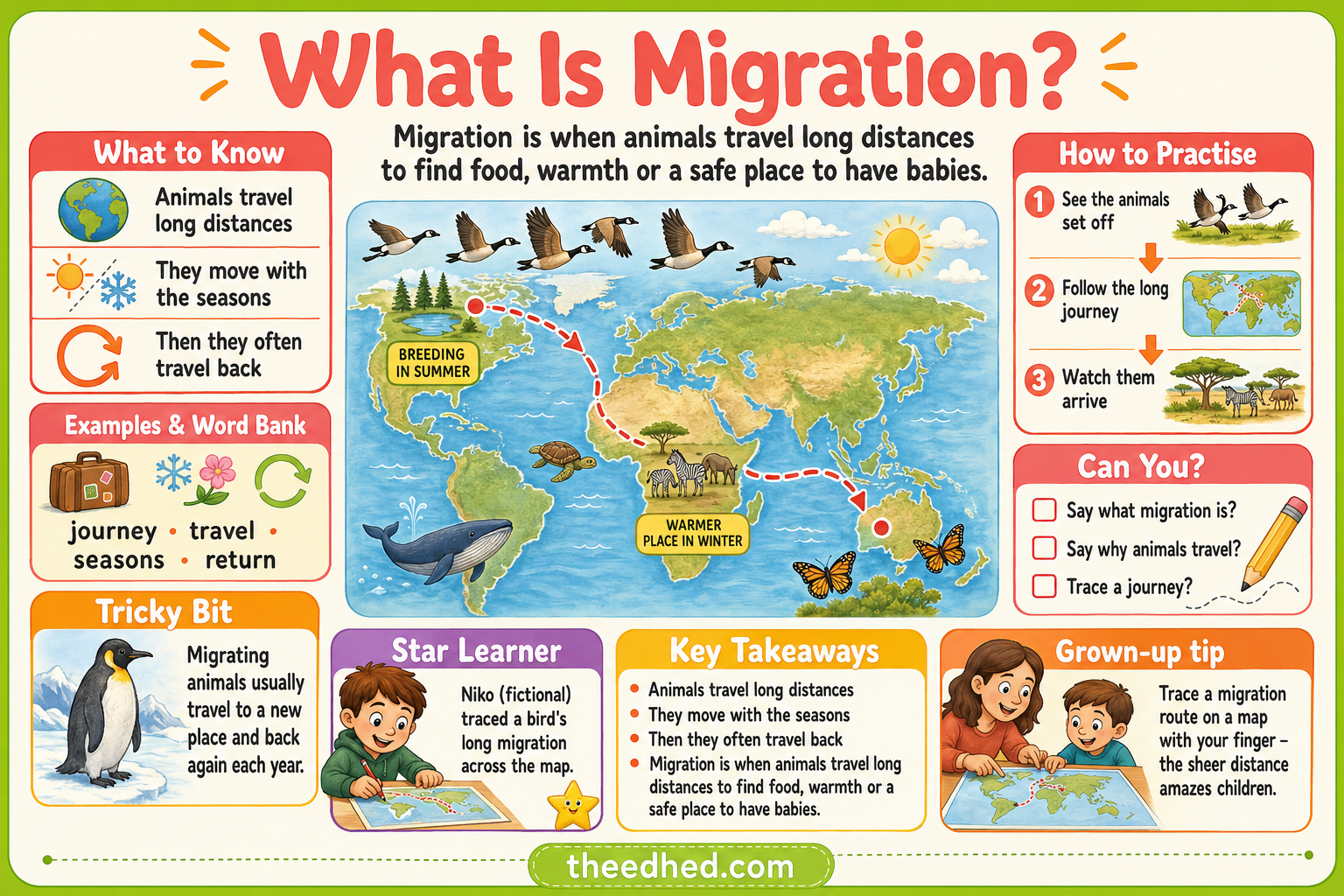 What Is Migration educational infographic for children ages 7 to 9