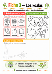Ficha de los koalas con alimentos para identificar, un dibujo para colorear y espacio para dibujar.