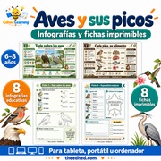 Aves y sus picos: curso en español con dos infografías y dos fichas de muestra para niños de 6 a 8 años.