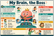 My Brain, the Boss educational infographic for children