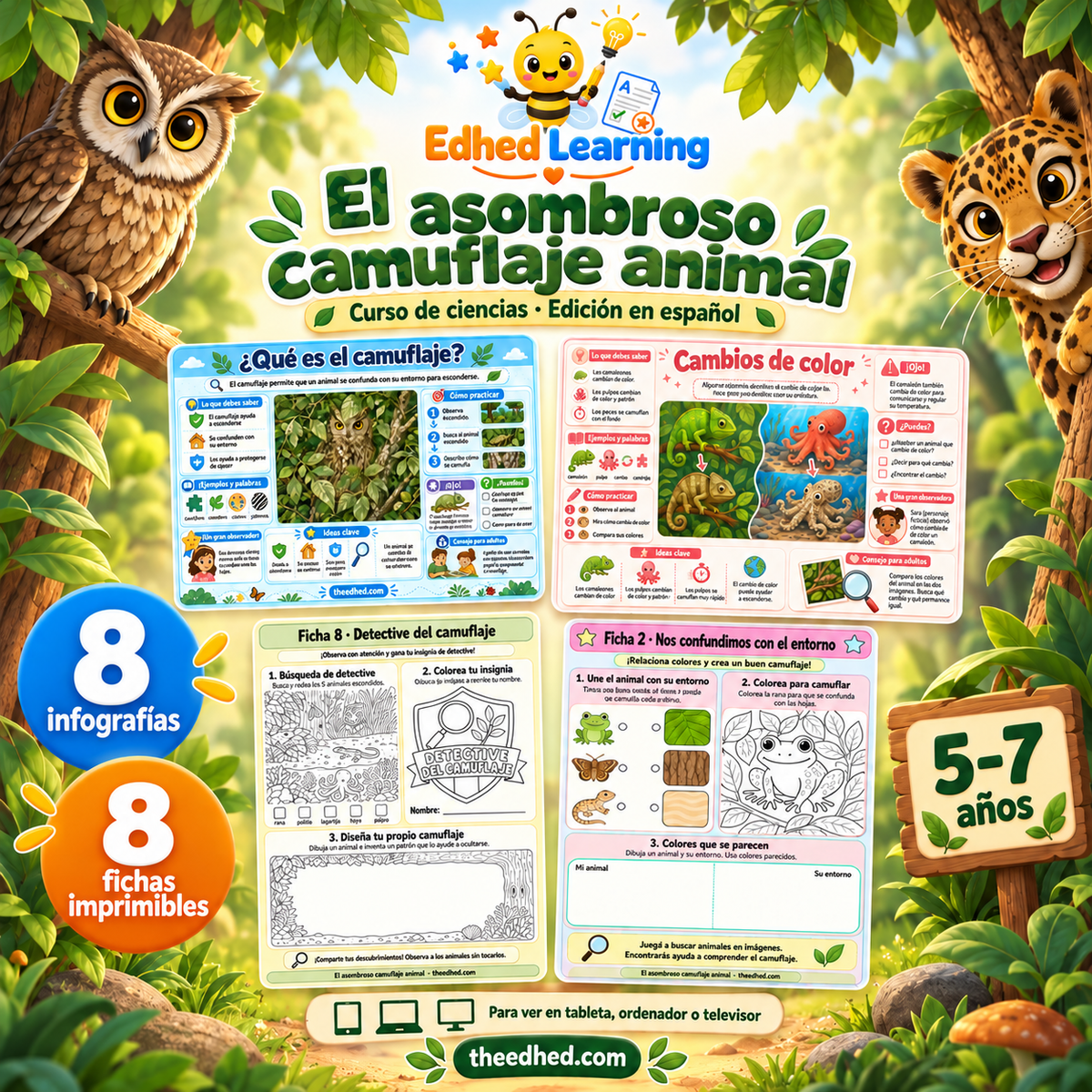 El asombroso camuflaje animal: curso en español para niños de 5 a 7 años con 8 infografías y 8 fichas imprimibles.