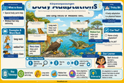 Anpassungen der Tiere – Infografik 2 aus dem Lernpaket von Edhed Learning