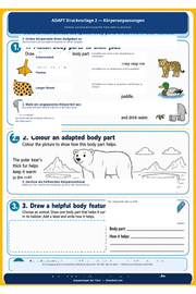 Anpassungen der Tiere – Arbeitsblatt 2 aus dem Lernpaket von Edhed Learning