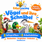 Vögel und ihre Schnäbel – 8 Infografiken + 8 Arbeitsblätter – Edhed Learning