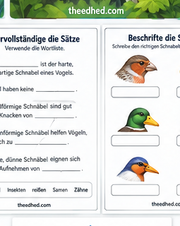Vögel und ihre Schnäbel – Arbeitsblatt 2 aus dem Lernpaket von Edhed Learning
