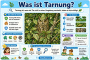 Tarnung bei Tieren – Infografik 1 aus dem Lernpaket von Edhed Learning