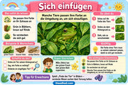 Tarnung bei Tieren – Infografik 2 aus dem Lernpaket von Edhed Learning